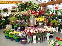Dobbe`s Florist Shop 280891 Image 0